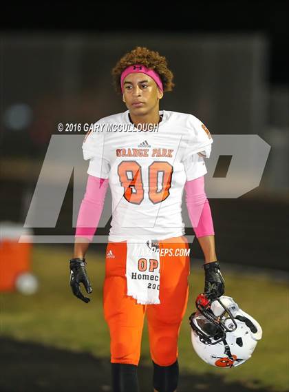 Thumbnail 3 in Orange Park @ Menendez photogallery.