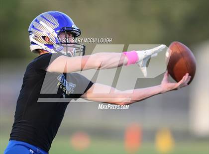 Thumbnail 2 in Orange Park @ Menendez photogallery.