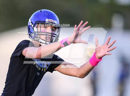 Thumbnail 3 in Orange Park @ Menendez photogallery.