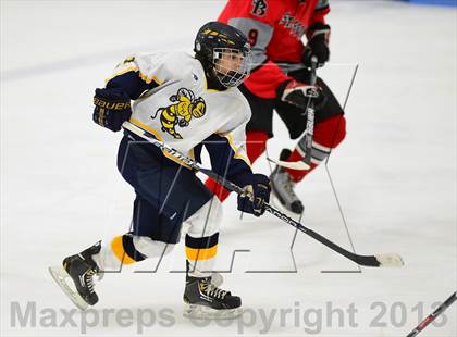 Thumbnail 3 in NFA/St. Bernard/Bacon Academy @ East Haven photogallery.