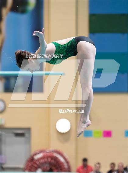 Thumbnail 3 in CHSAA 4A Girls Diving - State Championship photogallery.