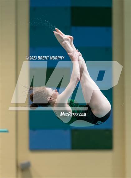 Thumbnail 1 in CHSAA 4A Girls Diving - State Championship photogallery.