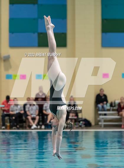 Thumbnail 3 in CHSAA 4A Girls Diving - State Championship photogallery.