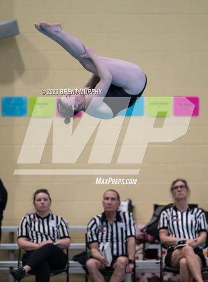 Thumbnail 1 in CHSAA 4A Girls Diving - State Championship photogallery.