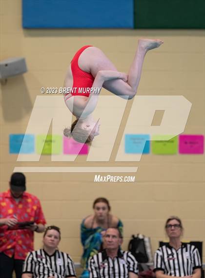 Thumbnail 1 in CHSAA 4A Girls Diving - State Championship photogallery.