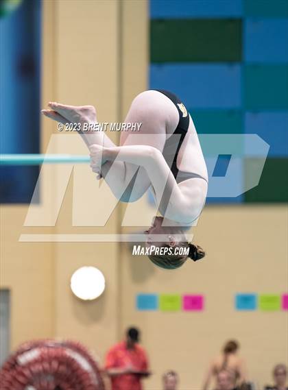 Thumbnail 3 in CHSAA 4A Girls Diving - State Championship photogallery.
