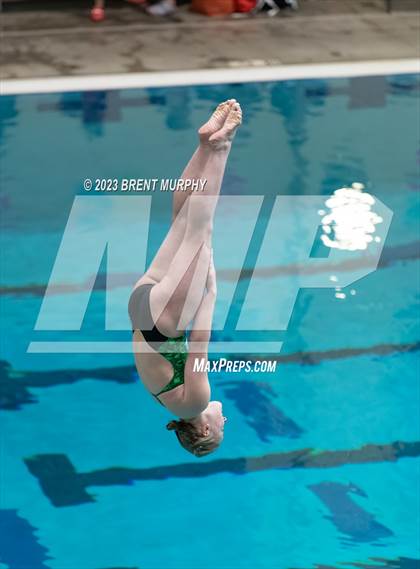 Thumbnail 2 in CHSAA 4A Girls Diving - State Championship photogallery.