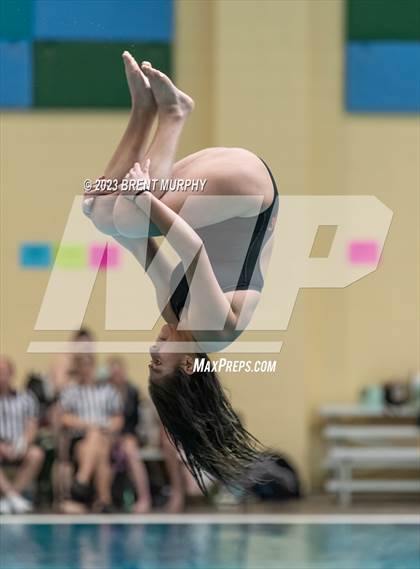 Thumbnail 1 in CHSAA 4A Girls Diving - State Championship photogallery.