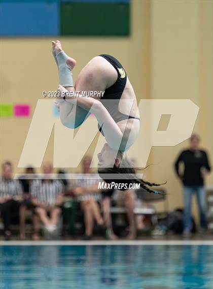 Thumbnail 3 in CHSAA 4A Girls Diving - State Championship photogallery.