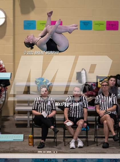 Thumbnail 1 in CHSAA 4A Girls Diving - State Championship photogallery.