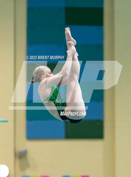 Thumbnail 1 in CHSAA 4A Girls Diving - State Championship photogallery.