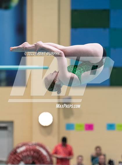 Thumbnail 2 in CHSAA 4A Girls Diving - State Championship photogallery.