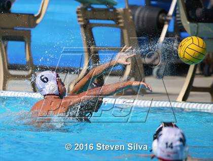 Thumbnail 2 in La Serna @ Westview photogallery.