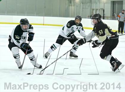 Thumbnail 3 in Wayland @ Jenison photogallery.