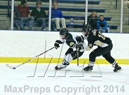 Thumbnail 3 in Wayland @ Jenison photogallery.
