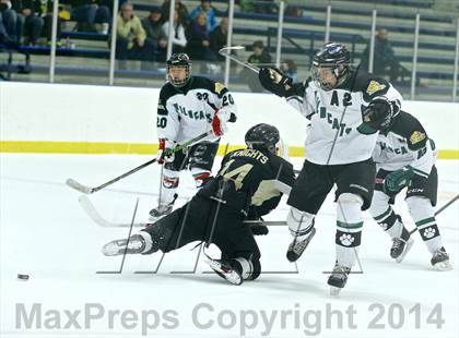 Thumbnail 3 in Wayland @ Jenison photogallery.