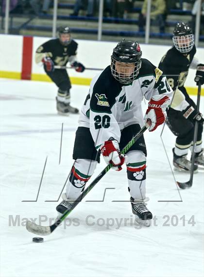 Thumbnail 1 in Wayland @ Jenison photogallery.