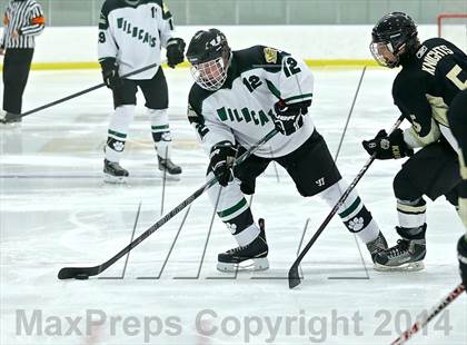 Thumbnail 3 in Wayland @ Jenison photogallery.