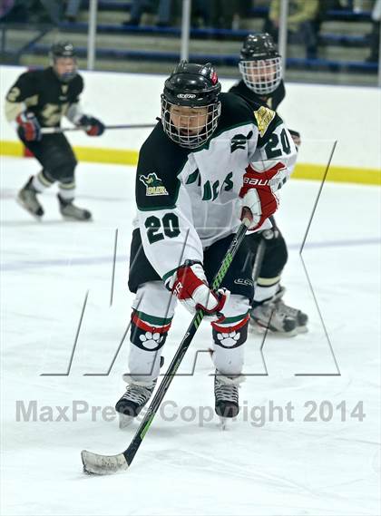 Thumbnail 3 in Wayland @ Jenison photogallery.