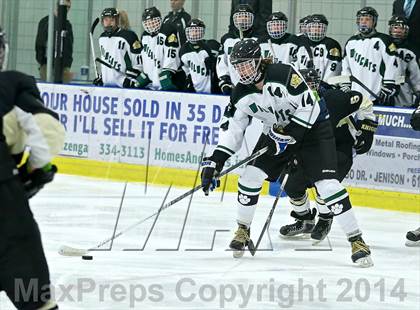 Thumbnail 3 in Wayland @ Jenison photogallery.