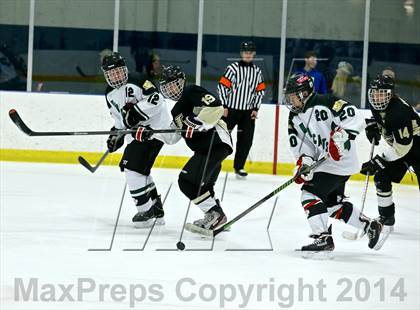 Thumbnail 3 in Wayland @ Jenison photogallery.