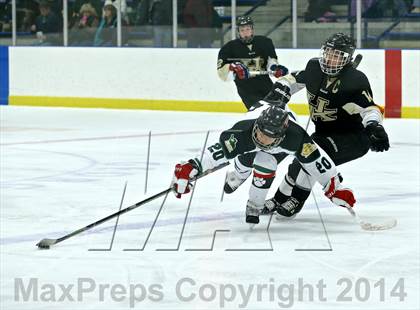 Thumbnail 2 in Wayland @ Jenison photogallery.