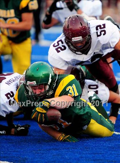 Thumbnail 3 in Centennial @ Borah photogallery.
