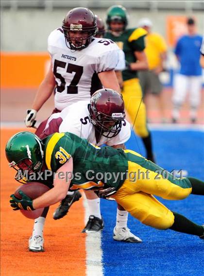 Thumbnail 2 in Centennial @ Borah photogallery.