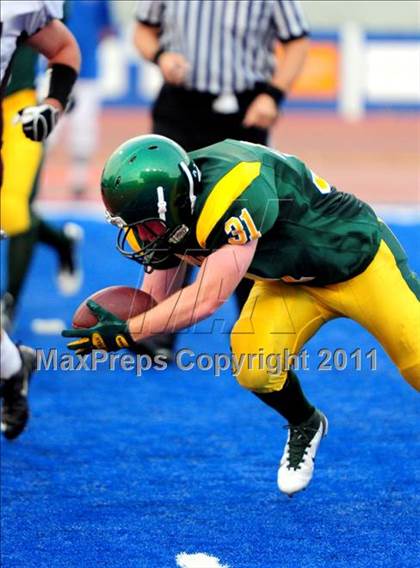 Thumbnail 3 in Centennial @ Borah photogallery.