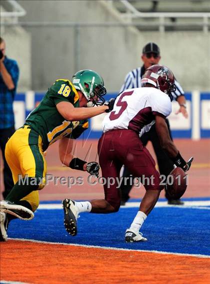 Thumbnail 3 in Centennial @ Borah photogallery.