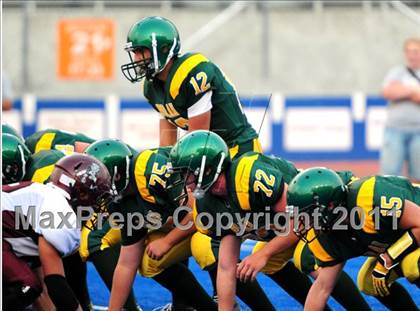 Thumbnail 1 in Centennial @ Borah photogallery.