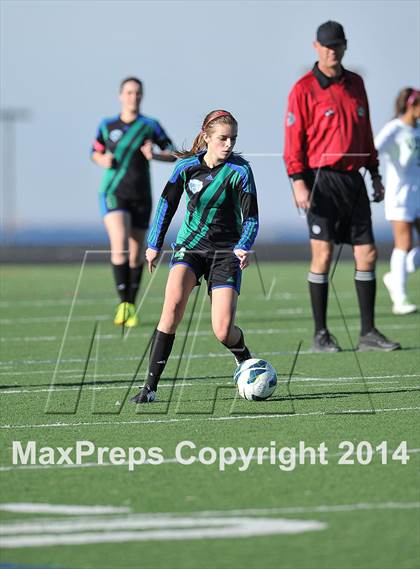Thumbnail 3 in ThunderRidge @ Mountain Vista photogallery.