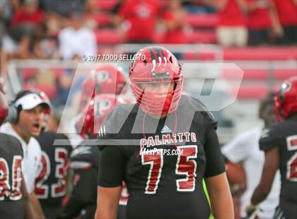 Thumbnail 3 in Manatee @ Palmetto photogallery.