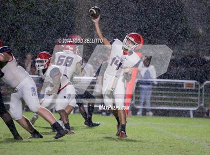 Thumbnail 3 in Manatee @ Palmetto photogallery.