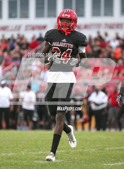 Thumbnail 2 in Manatee @ Palmetto photogallery.