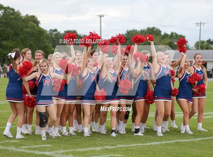 Thumbnail 3 in Manatee @ Palmetto photogallery.