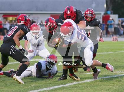Thumbnail 2 in Manatee @ Palmetto photogallery.