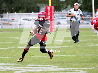Thumbnail 2 in Manatee @ Palmetto photogallery.