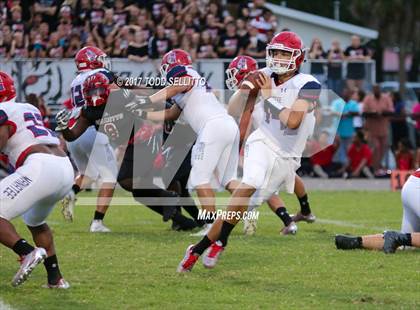 Thumbnail 3 in Manatee @ Palmetto photogallery.