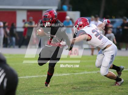 Thumbnail 3 in Manatee @ Palmetto photogallery.