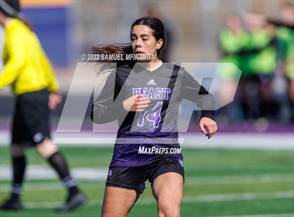 Thumbnail 3 in Bellevue East vs. Kearney photogallery.