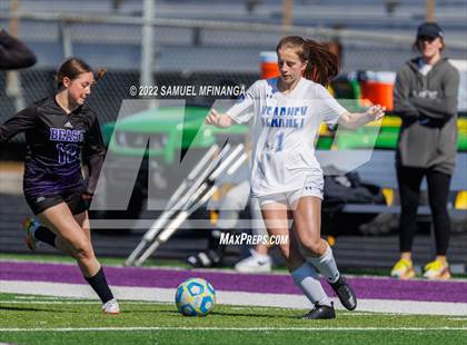 Thumbnail 3 in Bellevue East vs. Kearney photogallery.