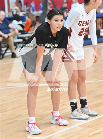 Thumbnail 3 in Cedar vs. Volcano Vista (Section 7) photogallery.