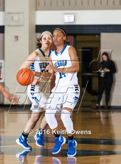 Thumbnail 3 in Boyd @ Hebron photogallery.