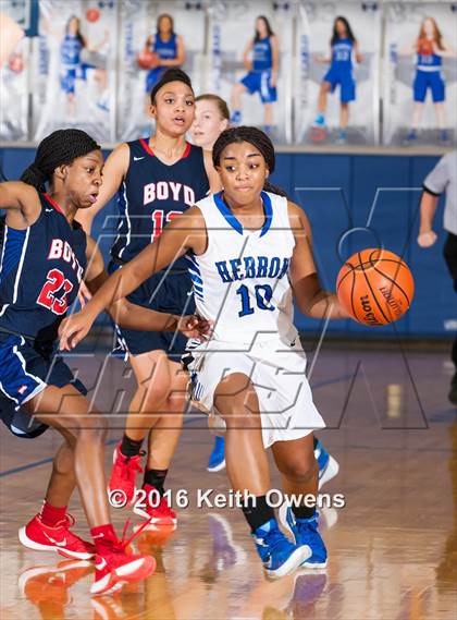 Thumbnail 1 in Boyd @ Hebron photogallery.