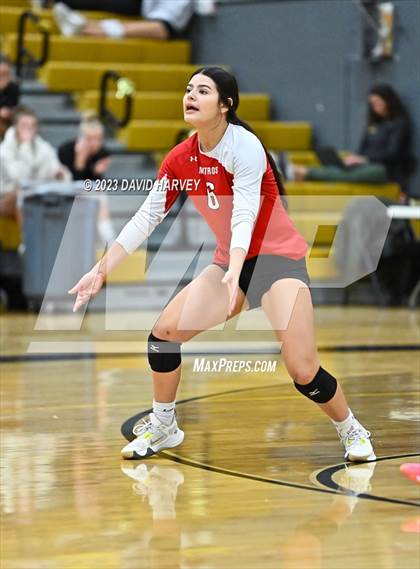 Thumbnail 3 in Frederick vs. Montrose photogallery.