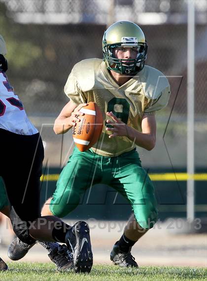 Thumbnail 2 in Salesian @ St. Patrick-St. Vincent photogallery.