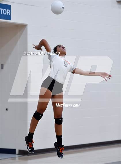 Thumbnail 1 in Tampa Prep vs Sarasota photogallery.