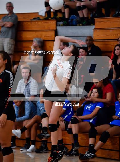 Thumbnail 1 in Tampa Prep vs Sarasota photogallery.