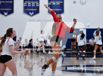 Thumbnail 3 in Tampa Prep vs Sarasota photogallery.